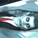 Illustration for article titled The Brilliant Use of Fear And Scale In emBatman: Arkham Asylum’s /emScarecrow Levelsem/em